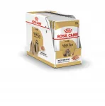 Koeratoit Royal Canin Shih Tzu Adult 12x85g