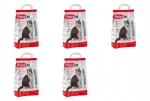 Kassi allapanu Pussy Cat, 5 kg, pakendis 5 tk