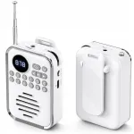 &Uuml;levalatav Bluetooth 5.0 FM raadio k&otilde;lar, 5 W, MP3, USB-C, microSD