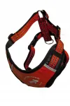Koerte spordirakmed ALL FOR DOGS, punased, suurus L, Labradorile