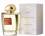 OLFATTOLOGY ZAMBESI RIVER Extrait 100 ml l&otilde;hnavesi naistele