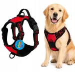 Suuremate koerte punane GUARD jalutusrihm XL, 53&ndash;96 cm, Golden Shepherd
