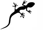 Auto kleebis LIZARD Gecko, 10 x 11,7 cm, taustata