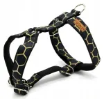 Koera rakmed KENDOG Black Honeycombs, S, 2 cm, 35&ndash;50 cm