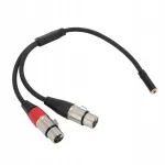 3,5 mm emane kahekordse XLR Y-kaabel