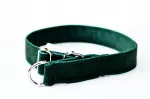 GREEN VELVET koera poolkinnitatav reguleeritav kaelarihm, 3 cm, kuni 47 cm
