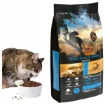 Ambrosia Cat Fresh kuiv kassitoit forelli ja k&uuml;&uuml;likulihaga, 5 kg