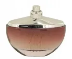 CERRUTI 1881 COLLECTION parf&uuml;&uuml;mvesi 100 ml