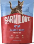 Kuiv kassitoit CARNILOVE Active l&otilde;he ja kalkunilihaga, 400 g