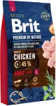 Brit Adult L kuivtoit suure t&otilde;u koertele kanaga 8 kg