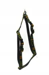 Alizoo rohelised koerte rakmed, 20 mm, 41&ndash;67 cm