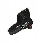 TREND K-TYPE koera mustad rakmed, 50-60 cm