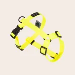 Kassi rakmed GUARD, neoonkollased, suurus M
