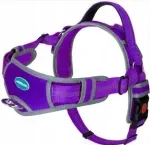 Thinkpet XL koera peegeldavate elementidega rakmed, violetset v&auml;rvi