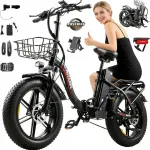 Elektrijalgratas PASEBIKE P20 Pro, 1000W, 23Ah, kuni 100 km, 20" rattad, &otilde;lipidurid
