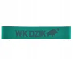 MINI BAND WK DZIK kummist treeningv&ouml;&ouml;, 4&ndash;20 kg, roheline