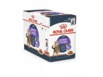 ROYAL CANIN FCN Appetite Control kastmes m&auml;rg kassitoit 12x85g