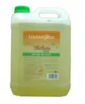 Beltran Vital h&uuml;poallergeenne n&otilde;udepesuvahend, 5 l