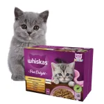 WHISKAS JUNIOR kassitoit linnulihaga, 12 x 85 g