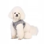 Reguleeritavad helkivad rakmed v&auml;ikestele koertele, kassidele, j&auml;nestele, suurus L, Hund&Kutz