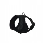 Koera rakmed Barry King, mustad, v&otilde;rgulised, XS, 26&ndash;34 cm