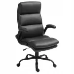Elektrikitarr FB 48-FX BLACK