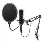 Mikrofon Niceboy VOICE Handle