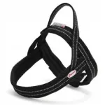 Koerte valjapidemed Dolomiti, mustad, XS suurus