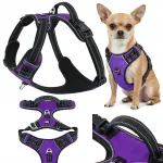 Helkuritega HUGGY DOGGY violetsetes toonides koerte valjad, suurus XS