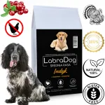 Koeratoit LabraDog teraviljavaba kalkuni-, maguskartuli- ja pohlamarjaga, 12 kg