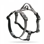 Koera valjad Truelove Lumen Lite, helkurilised, hallid, XS