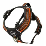Rakmed 3X-SPORT, oranžid, suurus S