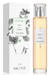 Parf&uuml;&uuml;mi vesi Allvernum Mint & Citrus, 50 ml