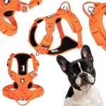 Koerte valjuhingamisrihmad Truelove Easy Walk, Cordura, oranžid, suurus M