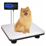 T&ouml;&ouml;stuslikud elektroonilised platvormkaalud LCD, 300 kg