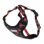 Amiplay BeHappy reguleeritavad kirsspunased koerarihmad, suurus L, 30-45 x 45-65 x 2,5 cm