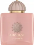 Naiste parf&uuml;&uuml;m Amouage Guidance, EDP, 100 ml