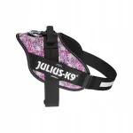 Koera rakmed Julius K9 IDC Power, suurus 1, violetne