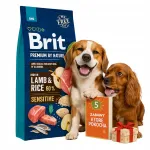 Brit Premium Sensitive kuivkoeratoit lambalihaga ja riisiga, 15 kg