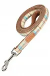 Koera jalutusrihm Zolux IMAO SCOTT, 20 mm, 1,2 m, sinine