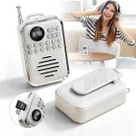 Kaasaskantav Bluetooth 5.0 FM raadio taskuk&otilde;lar 5W MP3 USB-C microSD-ga