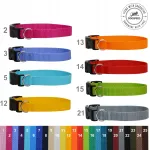 Kutsikate kaelarihmade komplekt, 8 tk, reguleeritav 23&ndash;36 cm