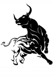 Kleebis taustata BULL FLAMES, 21 x 17,9 cm, autole, kiivrile, s&uuml;learvutile
