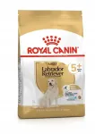 Kuiv toit koertele Royal Canin Labrador Retriever 5+, 6 kg