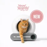 Meow Majesty isepuhastuv kassiliivakast
