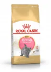 Royal Canin British Shorthair kuiv toit kassipoegadele, 2 kg