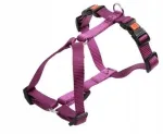 Koerte rakmed Kerbl Miami, lilla, 30&ndash;40 cm x 15 mm