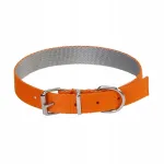 Koera kaelarihm Dingo Energy Silver, oranž, 2,5 x 55 cm