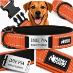 HUGGY DOGGY tugev reguleeritav koera kaelarihm, suurus M