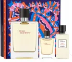 Meeste parf&uuml;&uuml;mikomplekt Herm&egrave;s Terre D'Herm&egrave;s EDT 100 ml + EDT 12.5 ml + AS 40 ml